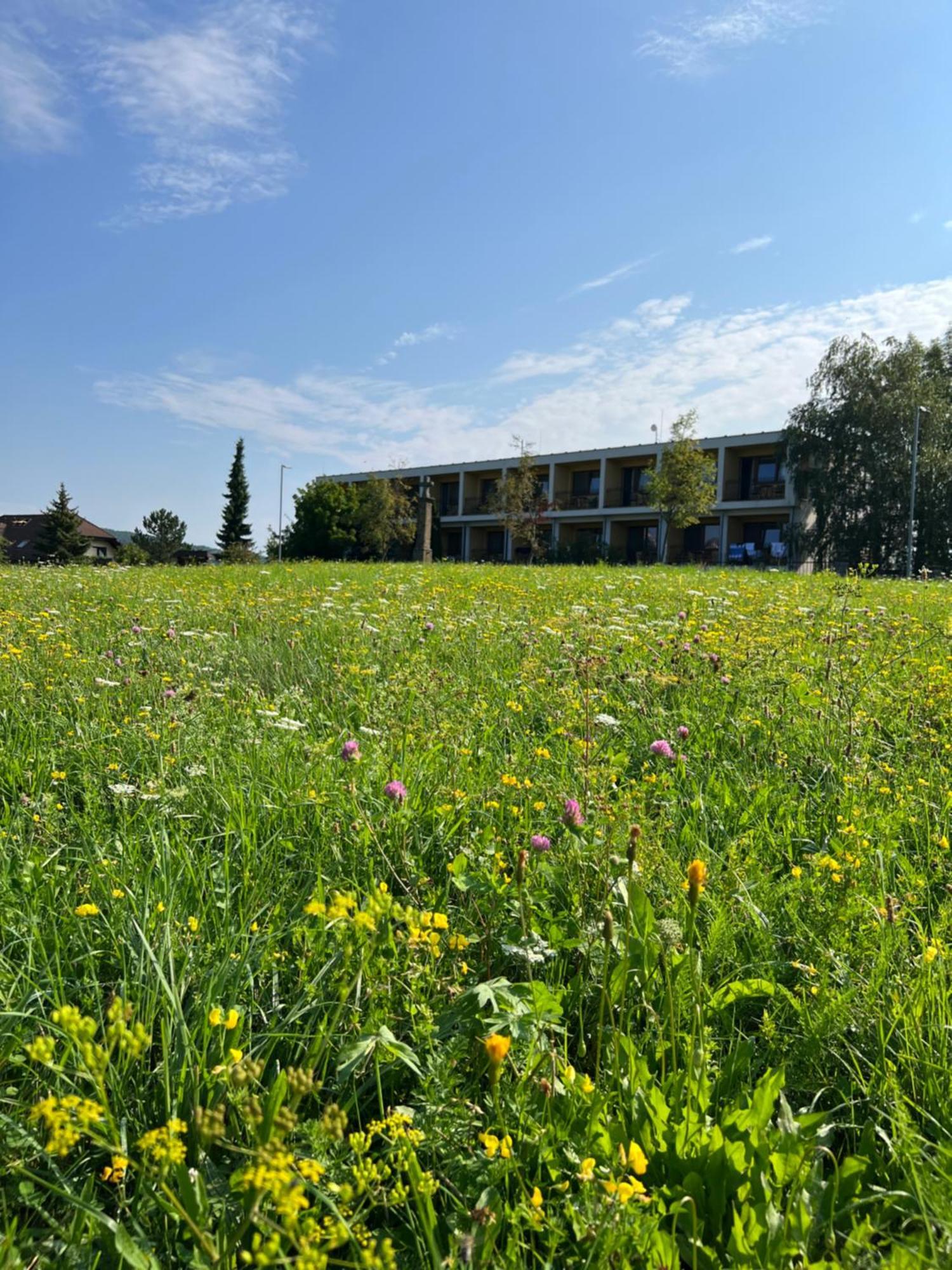 Hotel Nivamare Luhačovice Zewnętrze zdjęcie